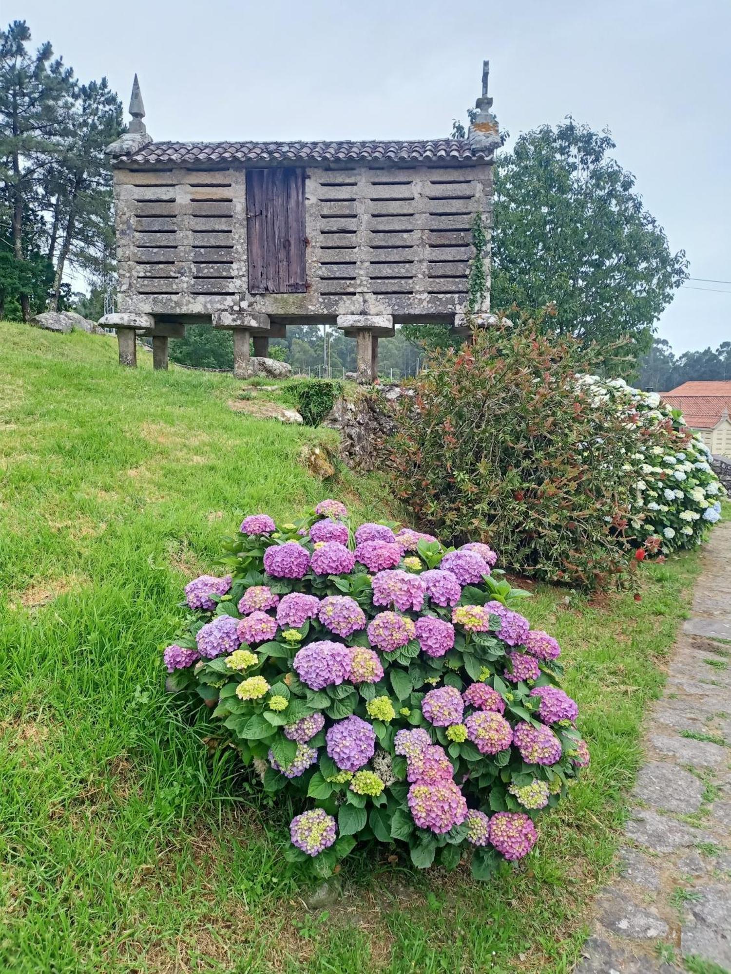 Casa Do Fieiro Country house Minortos